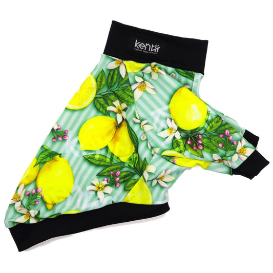 Citrus (Stripe Green) / シトラス ・ストライプグリーン