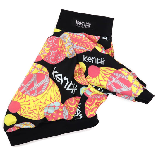 Springy / スプリンギー