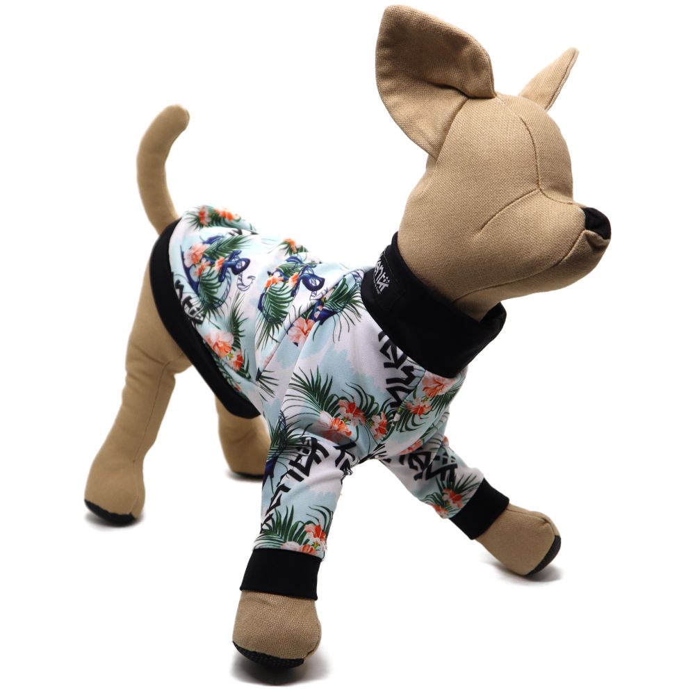 Aloha Anchor / アロハアンカー