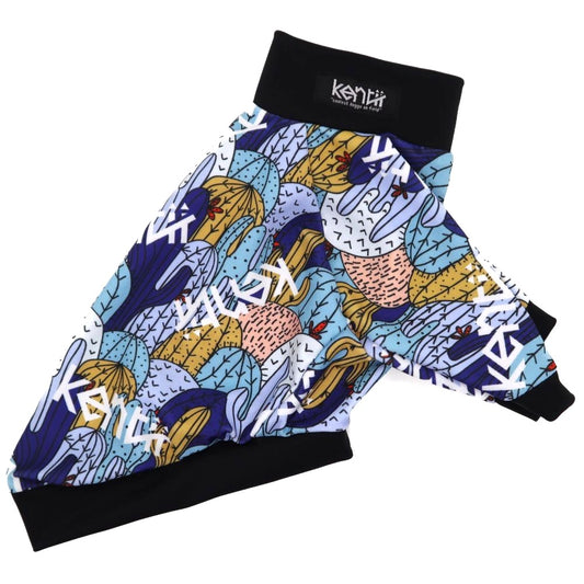 Succy / スュクシー