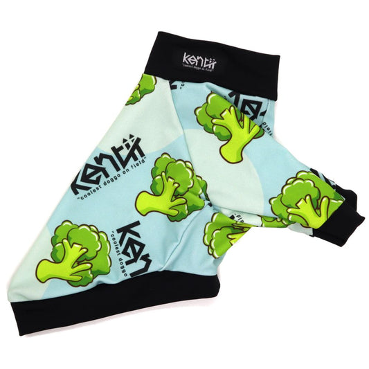 Broccoli / ブロッコリー