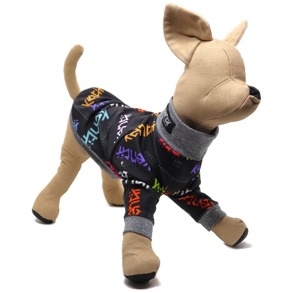 Celebrate / セレブレイト