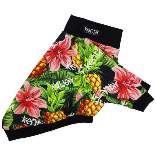 OHANA 2023(BLACK) / オハナ2023・ブラック