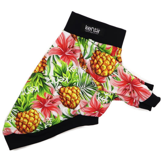 OHANA 2023(WHITE) / オハナ2023・ホワイト