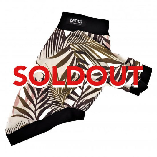 MOCHA PALM/モカパーム