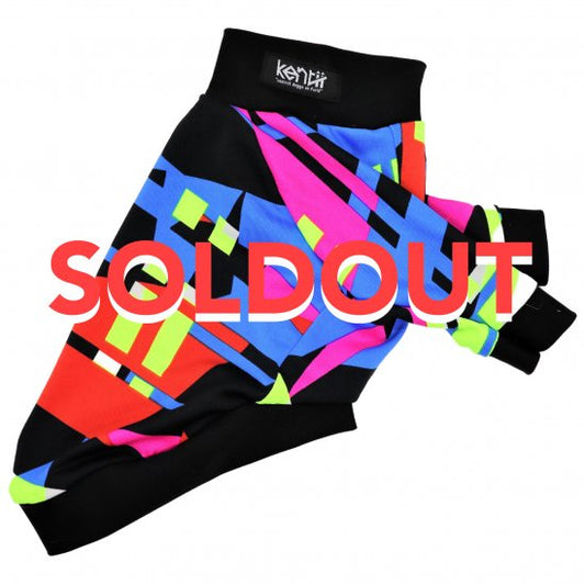 MODERNISM/モダニズム