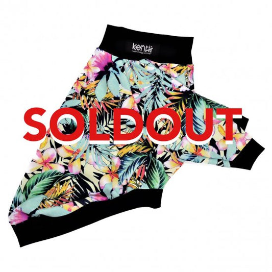 PLUMERIA(SUN RISE)/プルメリア・サンライズ