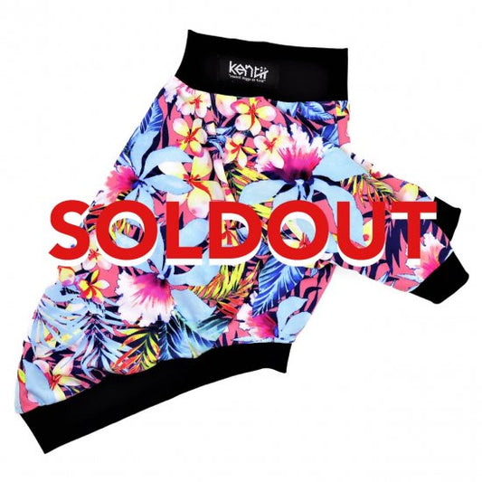 PLUMERIA(SUN SET)/プルメリア・サンセット