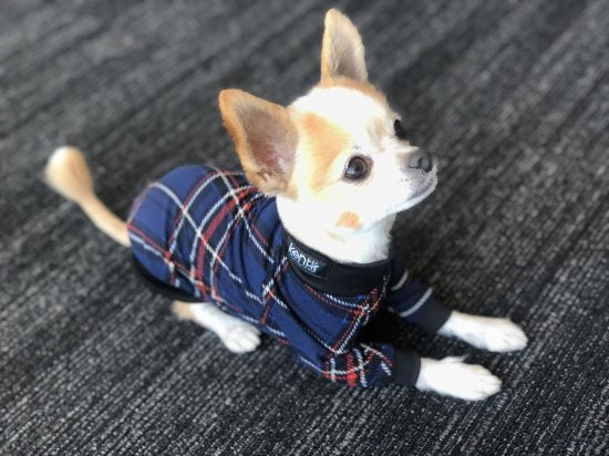 CLASSIC(Navy)/クラシック・ネイビー