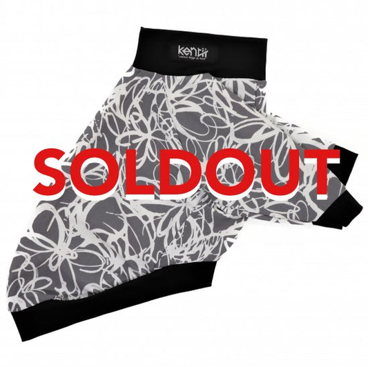 LIGHT GRAFFITI/ライトグラフィティ