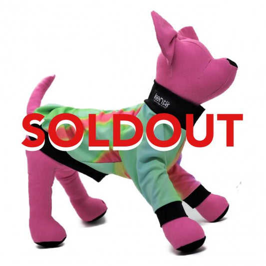 LOLLIPOP/ロリポップ