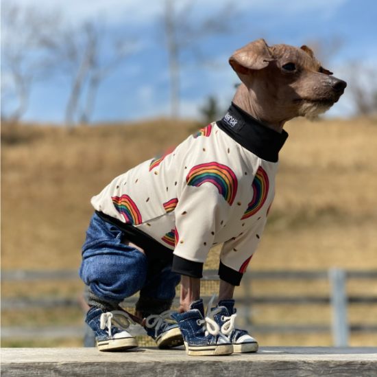 RAINBOW / レインボー