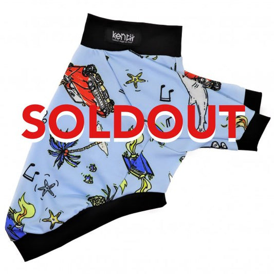 Santa Monica(SKY BLUE)/ サンタモニカ・スカイブルー