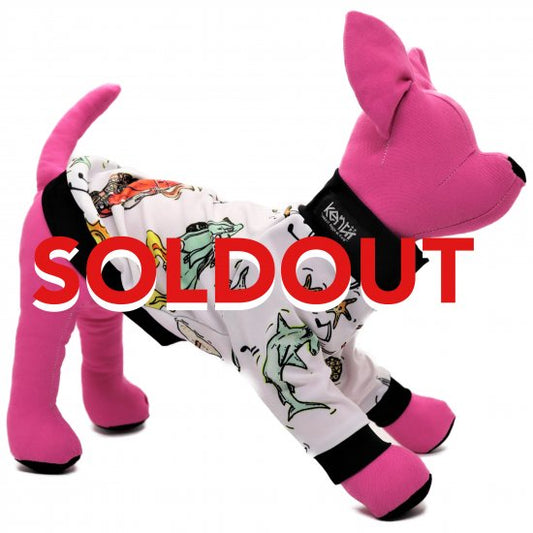 Santa Monica(WHITE)/ サンタモニカ・ホワイト