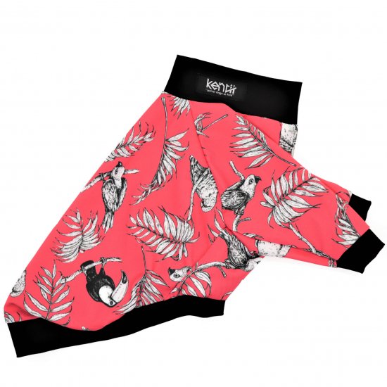 Tropical Bird(PINK)/ トロピカルバード・ピンク