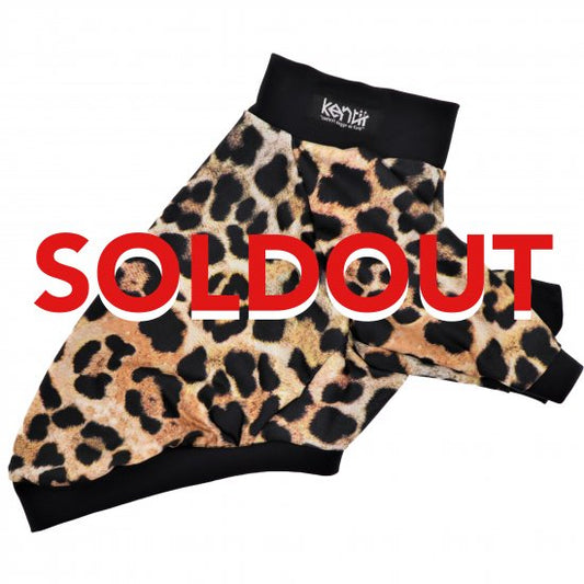 LEOPARD2020 / レオパード2020