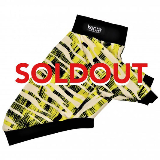 THUNDER / サンダー