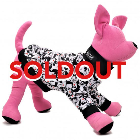 Fashionista / ファッショニスタ