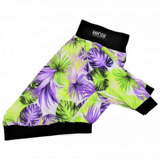 MONSTERA / モンステラ