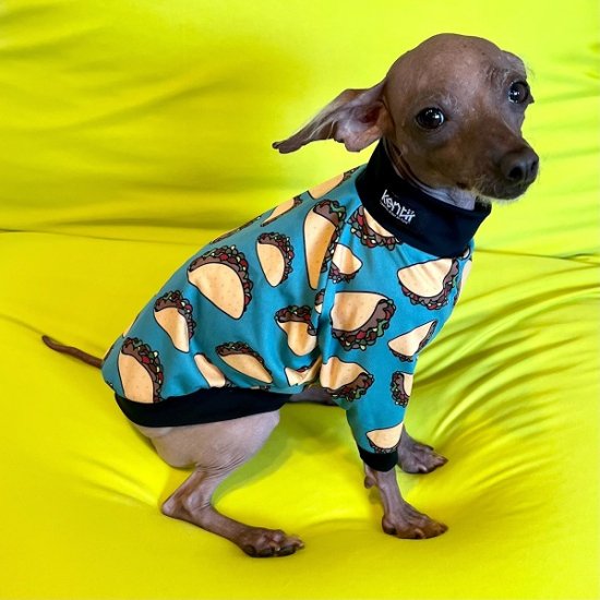 TACOS / タコス