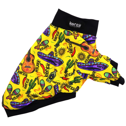 Mariachi / マリアッチ