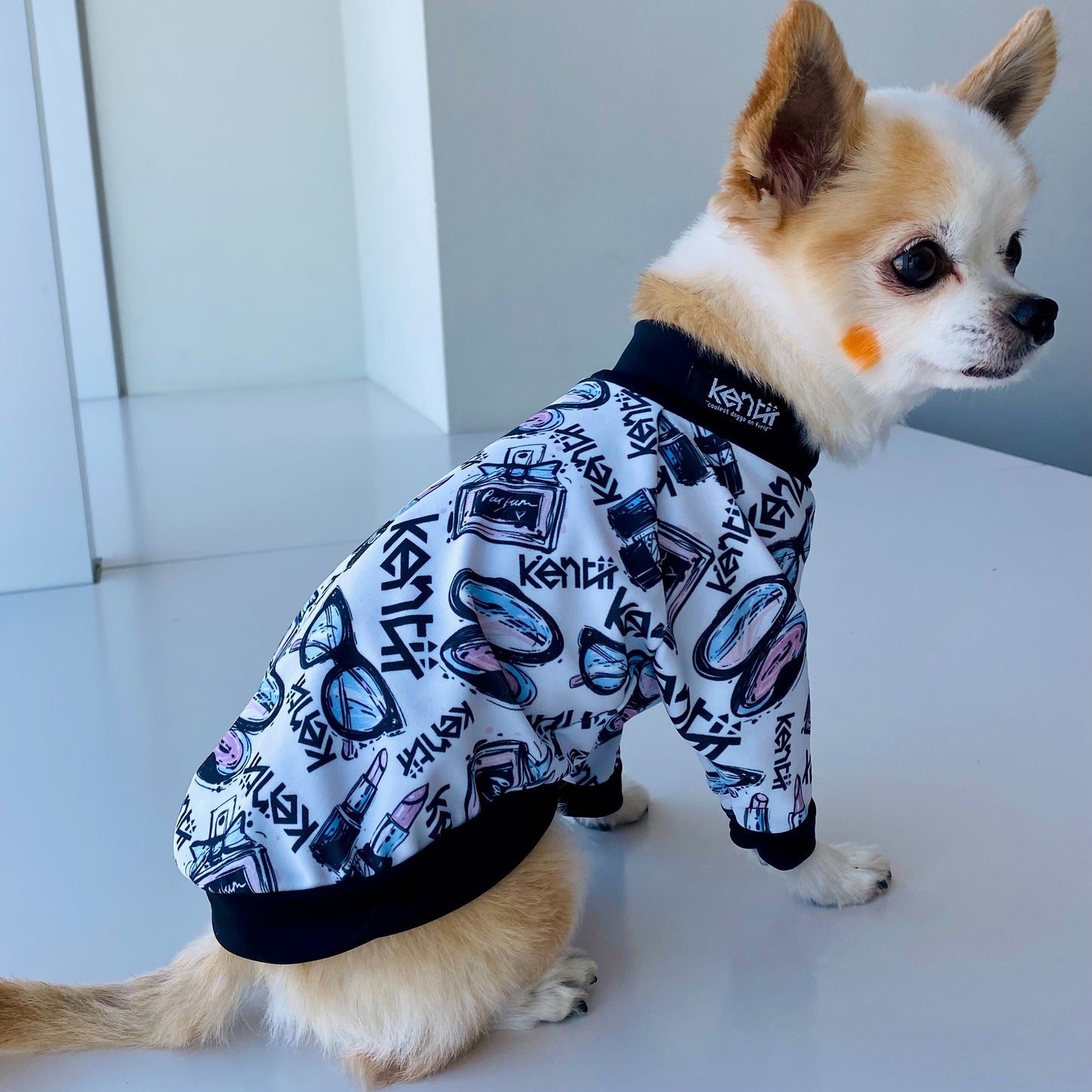 ICONIQ / アイコニック