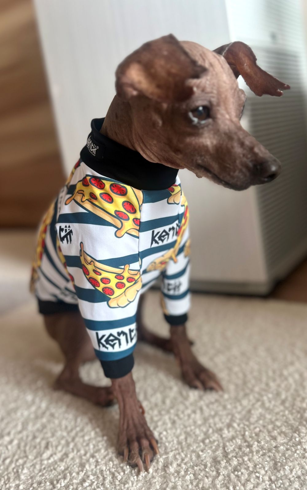 Pepperoni / ペパロニ