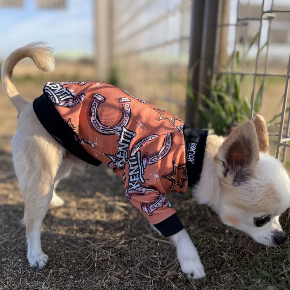 Gallop Rush / ギャロップラッシュ