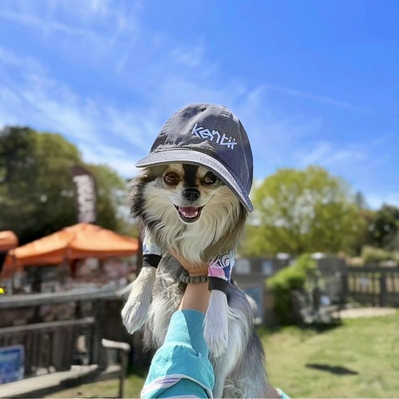 Cap / キャップ