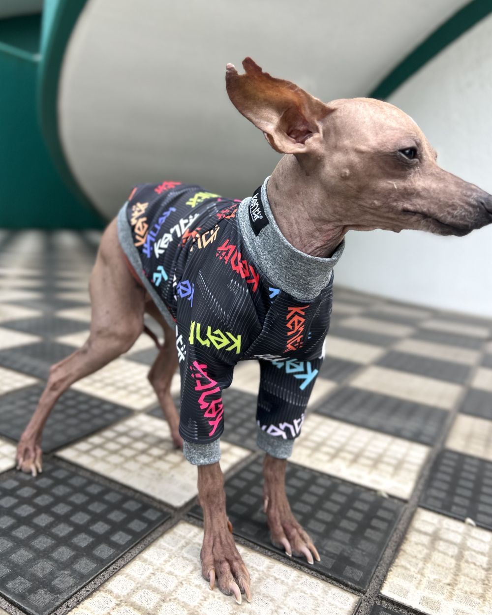 Celebrate / セレブレイト