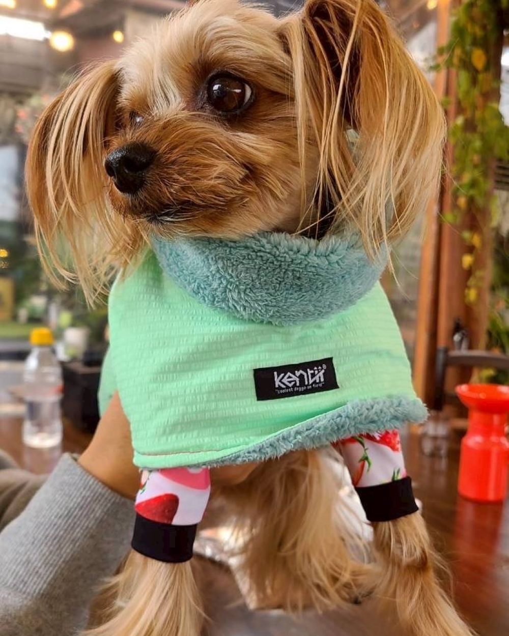 Light Warm Poncho / ライトウォームポンチョ