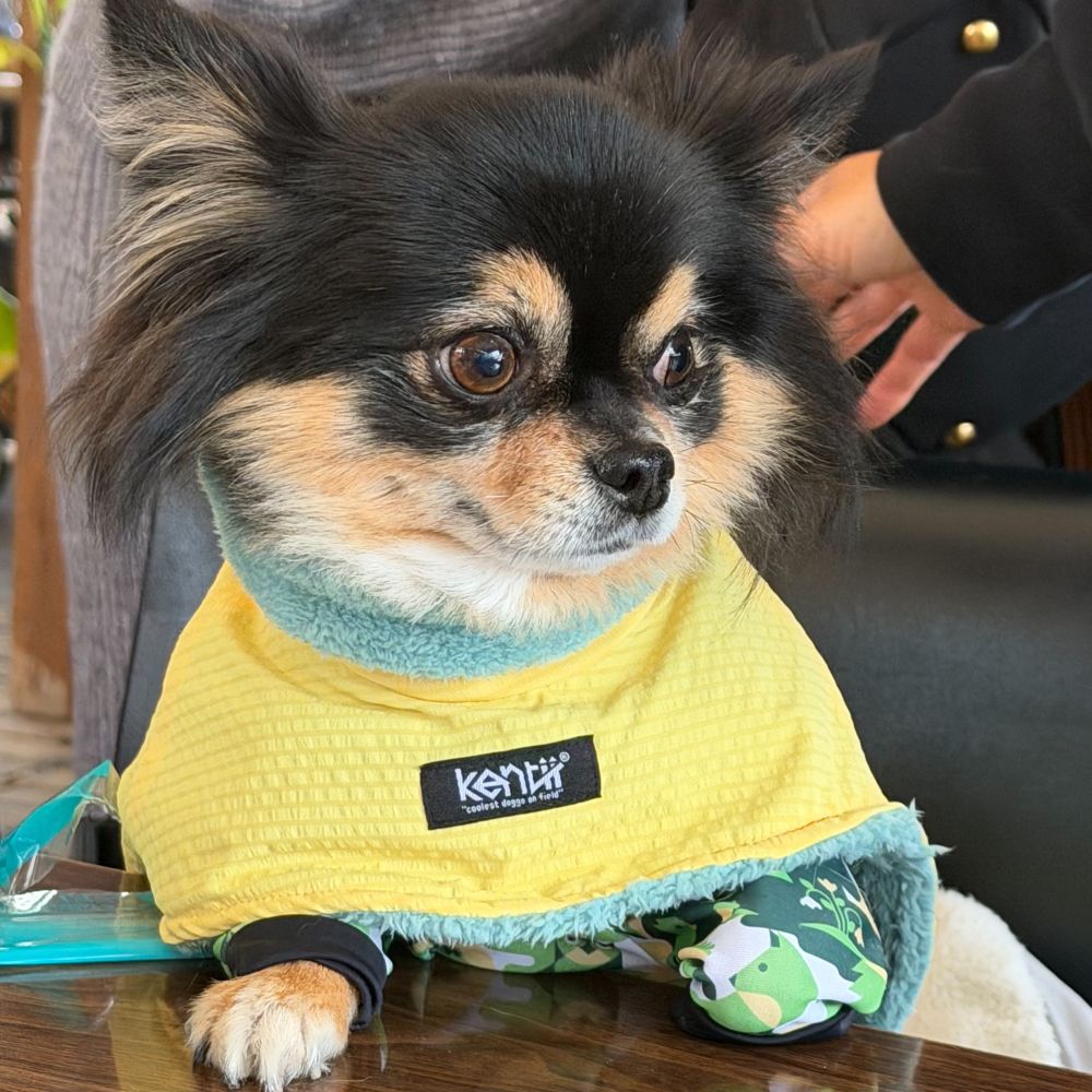 Light Warm Poncho / ライトウォームポンチョ