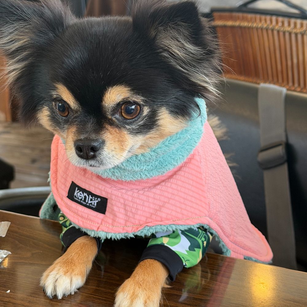 Light Warm Poncho / ライトウォームポンチョ