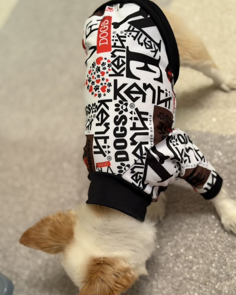 Love My Dog / ラブマイドッグ