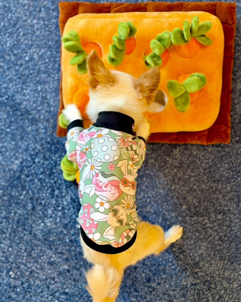 Cheeky Bunny / チーキーバニー