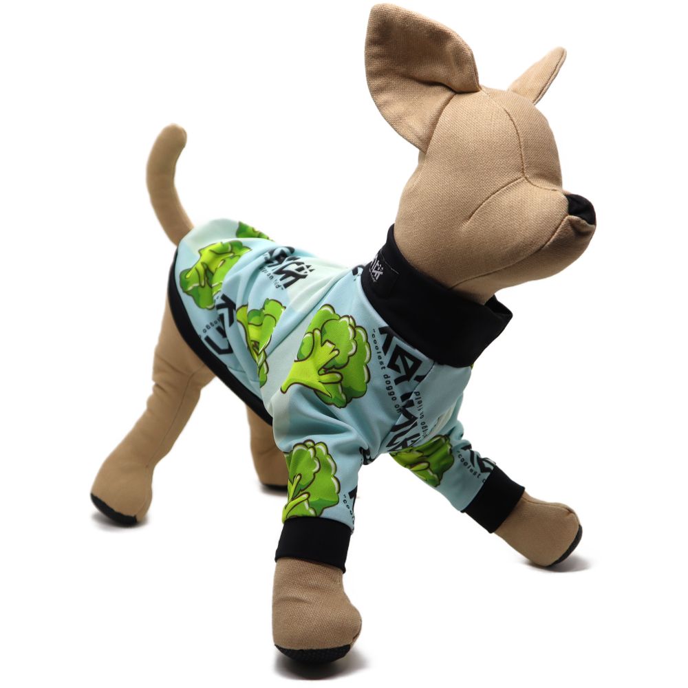 Broccoli / ブロッコリー