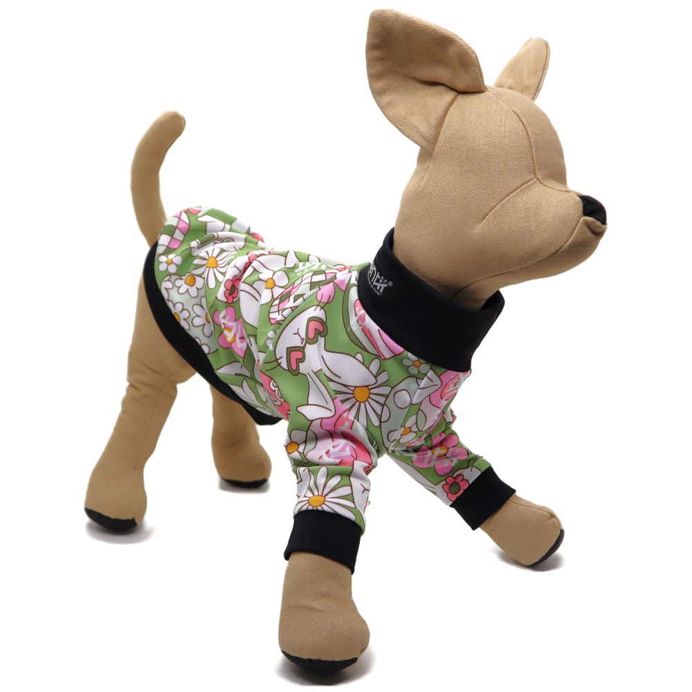 Cheeky Bunny / チーキーバニー