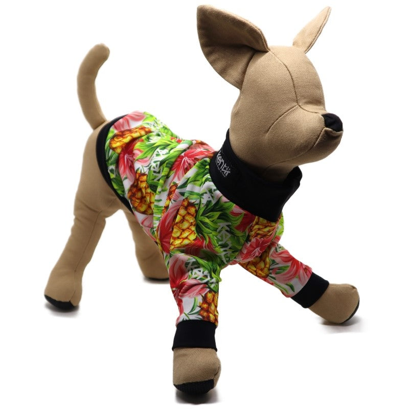 OHANA 2023(WHITE) / オハナ2023・ホワイト