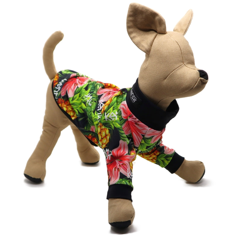 OHANA 2023(BLACK) / オハナ2023・ブラック