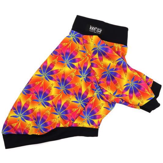 HEMP / ヘンプ