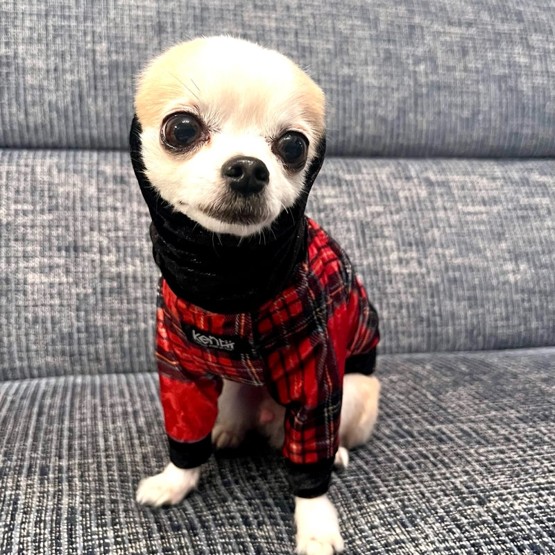 Royal Tartan (RED) / ロイヤルタータン・レッド
