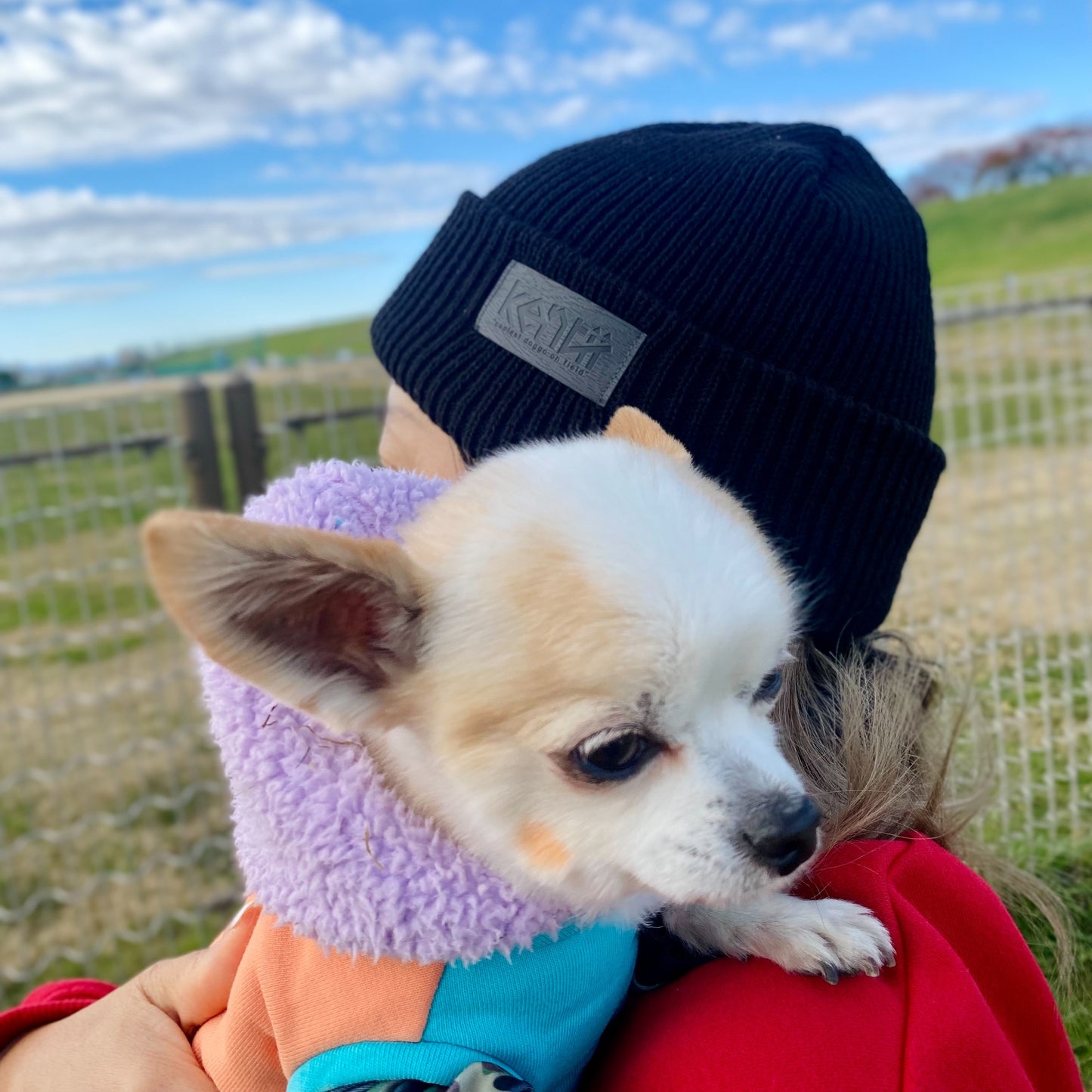 Beanie / ビーニー