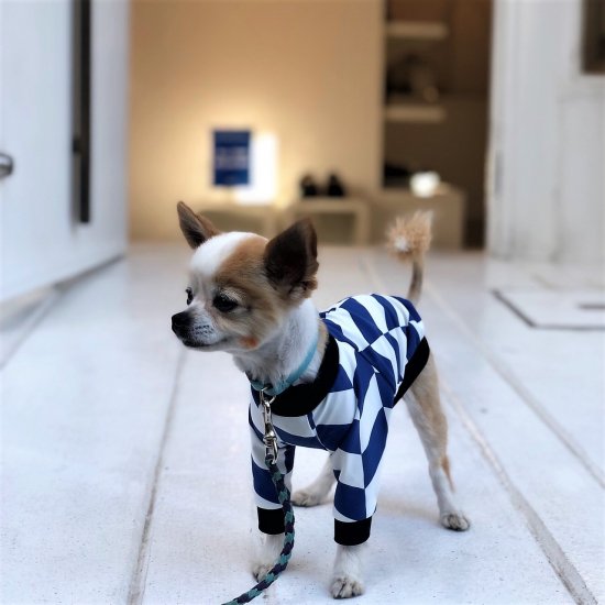 SANTORINI/サントリーニ