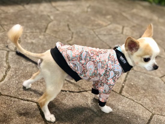 PAISLEY �U/ペイズリー 2