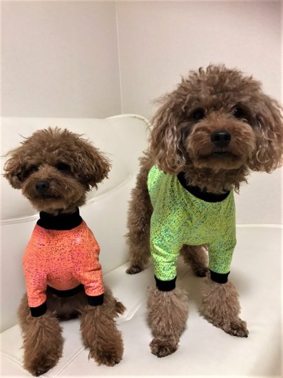GLITTER(Lime Green)/グリッター・ライムグリーン