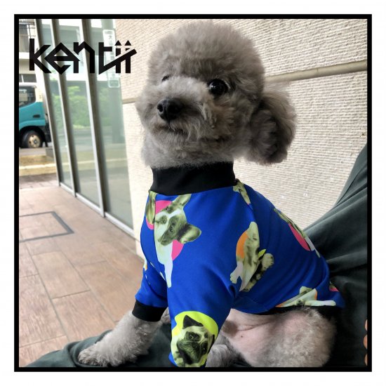 My Baby(BLUE) / マイベイビー・ブルー