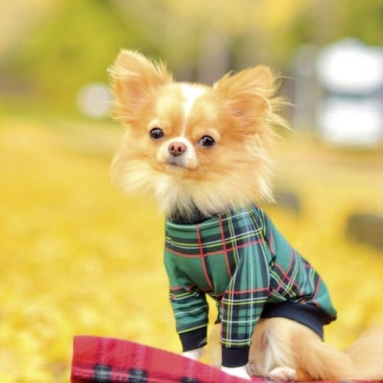 Preppy Check (Green) / プレッピーチェック・グリーン