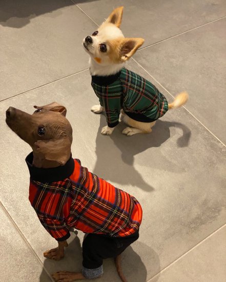 Preppy Check (Green) / プレッピーチェック・グリーン